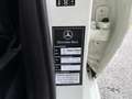 Mercedes-Benz GLK 220 cdi Sport 4M auto TUTTI TAGLIANDI MERCEDES GARANZI Blanc - thumbnail 26