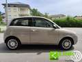 Lancia Ypsilon 1.2 E-Collection NEOPATENTATI GARANZIA INCLUSA - thumbnail 12