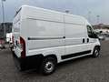 Fiat Ducato easy pro 33 MH2 2.2 mjt3 140cv serie 7 Bianco - thumbnail 3