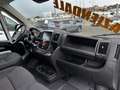 Fiat Ducato easy pro 33 MH2 2.2 mjt3 140cv serie 7 Bianco - thumbnail 15