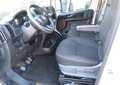 Fiat Ducato 120PS*L2H2*Klima*PDC*3,3to*Euro 6d-TEMP* Blanc - thumbnail 10