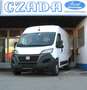 Fiat Ducato 120PS*L2H2*Klima*PDC*3,3to*Euro 6d-TEMP* Blanc - thumbnail 1