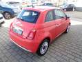 Fiat 500 Launch Edition Rot - thumbnail 4