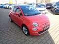 Fiat 500 Launch Edition Rot - thumbnail 3