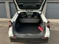 Subaru Solterra *AKTION* E-xperience PLUS ! Blanc - thumbnail 5
