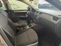 Skoda Octavia OctaviaIII 2016 Wagon 1.6 tdi Executive 4x4 110cv Grigio - thumbnail 12