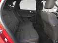 Ford Kuga 1.5 EcoB. Auto S&S ST-Line 4x2 150 Rojo - thumbnail 12