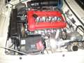 Alfa Romeo Spider 1750 Rundheck, Motor 3Tkm, einmaliger Sammlerzust Beige - thumbnail 15