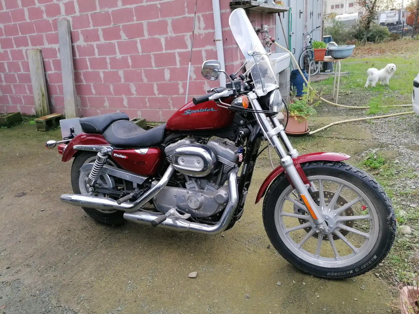 Harley-Davidson Sportster 883 XL883 Kırmızı - 1