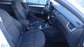Skoda Octavia Style 4x4 Bianco - thumbnail 11
