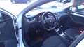 Skoda Octavia Style 4x4 Bianco - thumbnail 8