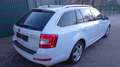 Skoda Octavia Style 4x4 Bianco - thumbnail 6