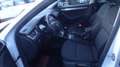 Skoda Octavia Style 4x4 Bianco - thumbnail 17