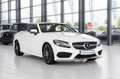 Mercedes-Benz C 220 d Cabrio*INT/EXT.AMG-LINE*LED*KOMFORT-PAKET Weiß - thumbnail 14