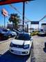 Suzuki Ignis 1.2 GLX 4WD Blanco - thumbnail 3