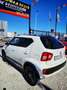 Suzuki Ignis 1.2 GLX 4WD Blanco - thumbnail 11