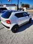 Suzuki Ignis 1.2 GLX 4WD Blanco - thumbnail 7