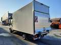 Iveco Daily **AKTION** Koffer mit LBW € 47.990,- NETTO Weiß - thumbnail 2