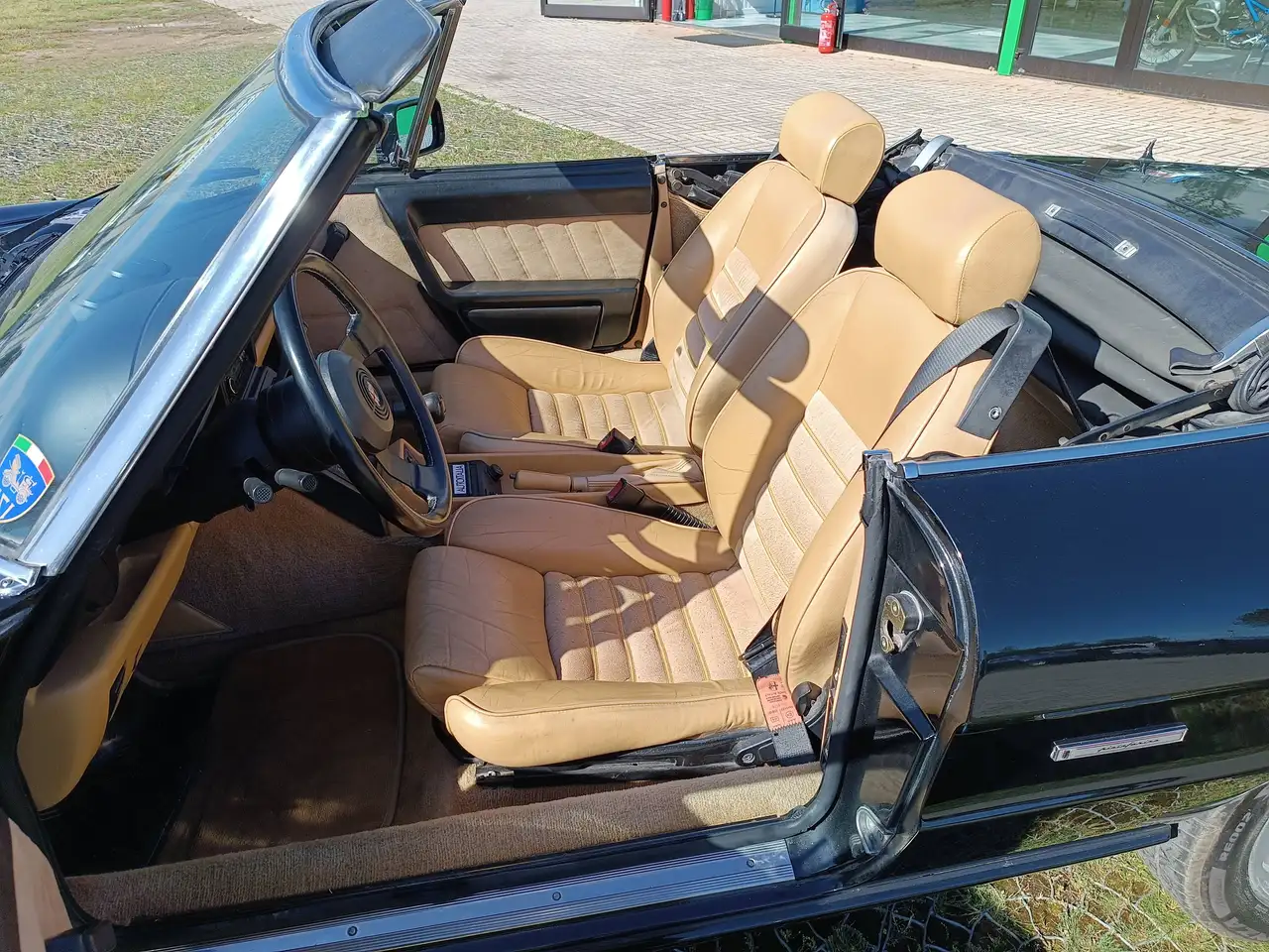 Alfa Romeo Spider 2.0 cat., foto 9