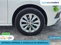 Skoda Kamiq 1.0 TSI Ambition 81kW DSG Weiß - thumbnail 32