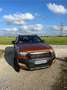 Ford Ranger Autm. Wildtrak Orange - thumbnail 1