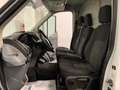 Ford Transit 310 2.2TDCi 125CV L2-H2 Furgone Trend-UNIPRO Bianco - thumbnail 6