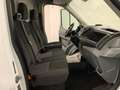 Ford Transit 310 2.2TDCi 125CV L2-H2 Furgone Trend-UNIPRO Bianco - thumbnail 9