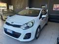 Kia Rio Rio III 2011 5p 1.2 cvvt Cool Techno Pack E6 Blanc - thumbnail 2