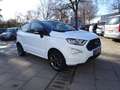 Ford EcoSport ST-Line / Navi / RWK / SHZ / Klimaauto Weiß - thumbnail 3
