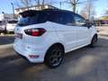 Ford EcoSport ST-Line / Navi / RWK / SHZ / Klimaauto Weiß - thumbnail 5
