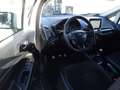 Ford EcoSport ST-Line / Navi / RWK / SHZ / Klimaauto Weiß - thumbnail 16