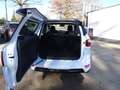 Ford EcoSport ST-Line / Navi / RWK / SHZ / Klimaauto Weiß - thumbnail 11