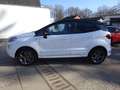 Ford EcoSport ST-Line / Navi / RWK / SHZ / Klimaauto Weiß - thumbnail 7