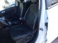 Ford EcoSport ST-Line / Navi / RWK / SHZ / Klimaauto Weiß - thumbnail 15
