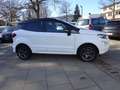 Ford EcoSport ST-Line / Navi / RWK / SHZ / Klimaauto Weiß - thumbnail 4