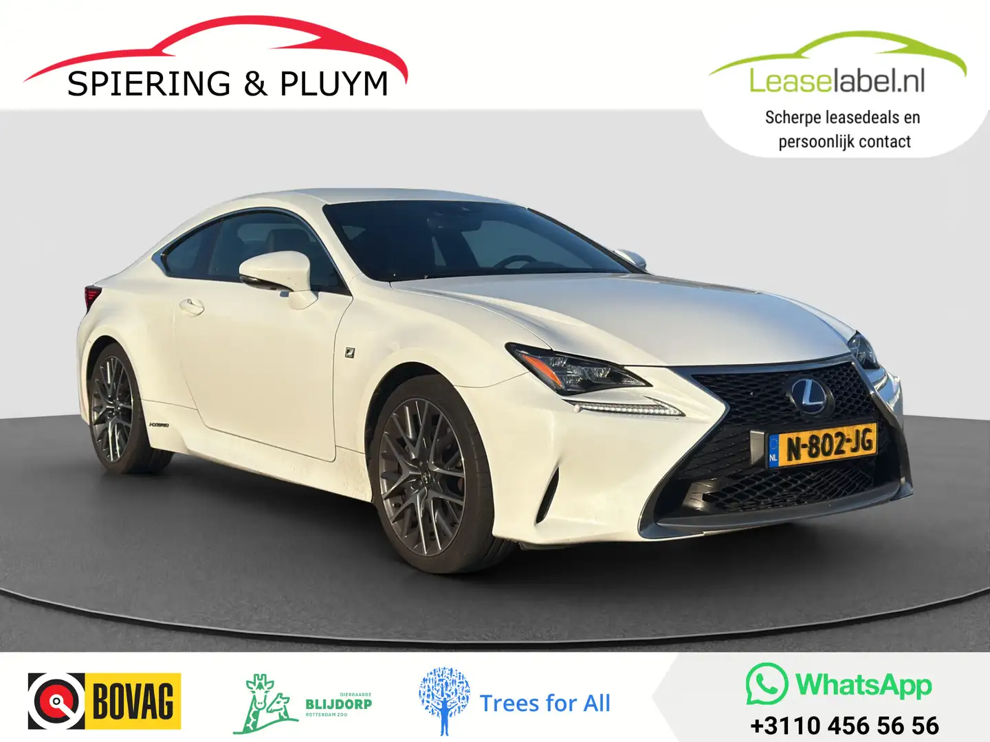 Lexus RC 300h F SPORT | Dealer onderhouden | Dodehoek | Keyless Wit - 1