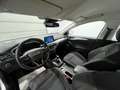 Ford Focus FOCUS TURNIER 1.5 ECOBLUE |1H|AC|NAV|CAM|PDC|DAB Silber - thumbnail 9