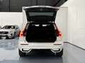 Volvo XC60 B4 Plus Dark FWD Aut. Bianco - thumbnail 14