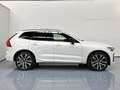 Volvo XC60 B4 Plus Dark FWD Aut. Bianco - thumbnail 2