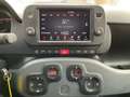 Fiat Panda 4x2 HYBRID RED Rot - thumbnail 5