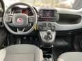 Fiat Panda 4x2 HYBRID RED Rot - thumbnail 8