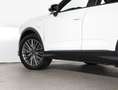 Audi Q3 e-tron 45 TFSI e Wit - thumbnail 5