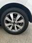 Kia Picanto 1.0 12V 5 porte Glam Collection OK NEOPATENTATO Weiß - thumbnail 7