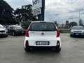 Kia Picanto 1.0 12V 5 porte Glam Collection OK NEOPATENTATO Weiß - thumbnail 5