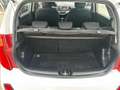 Kia Picanto 1.0 12V 5 porte Glam Collection OK NEOPATENTATO Weiß - thumbnail 12