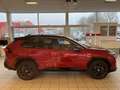 Toyota RAV 4 Plug-in-Hybrid GR SPORT Rouge - thumbnail 2