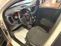 Fiat Panda Panda III Cross 1.0 firefly hybrid Cross s Wit - thumbnail 8