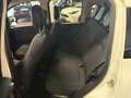 Fiat Panda Panda III Cross 1.0 firefly hybrid Cross s Wit - thumbnail 10