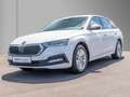 Skoda Octavia Combi 2.0 TDI DSG Ambition AHK, Navi Blanc - thumbnail 2