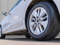 Skoda Octavia Combi 2.0 TDI DSG Ambition AHK, Navi Blanc - thumbnail 5